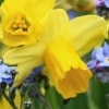 Ostern