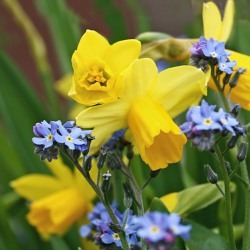 Ostern